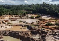 Luis Castilla advierte que minería ilegal podría dejar el oro para migrar al cobre