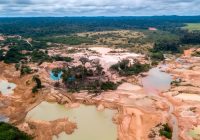 PCM: Treinta y seis comunidades de la Amazonía son amenazadas por la minería ilegal