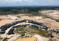 En los últimos cinco años, el presupuesto para combatir la minería ilegal se redujo en 37%